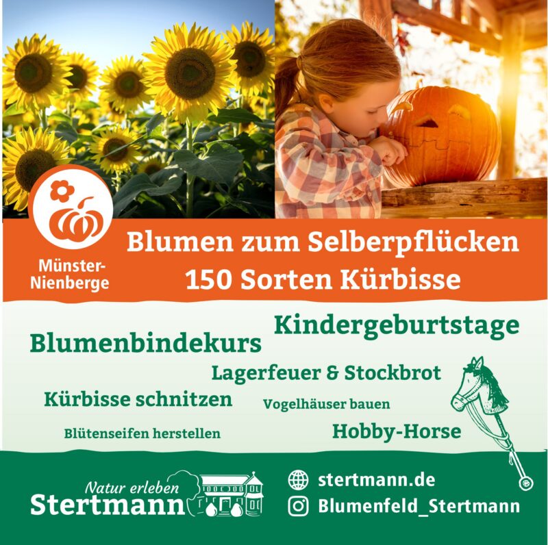 Werbebanner